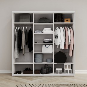 Шкаф-купе Акцент-Лайт ДЗ 2100-600 в Приобье - priobie.mebel24.online | фото 2