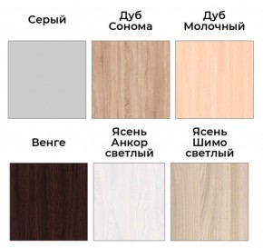 Шкаф-купе ХИТ 22-17-66 (620) в Приобье - priobie.mebel24.online | фото 3