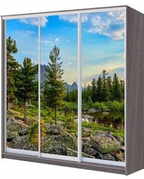 Шкаф-купе ХИТ 22-20/2-777 ПРИРОДА в Приобье - priobie.mebel24.online | фото