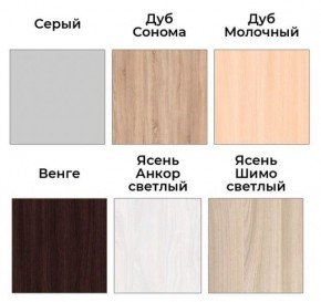 Шкаф-купе ХИТ 22-4-17-55 (420) в Приобье - priobie.mebel24.online | фото 3