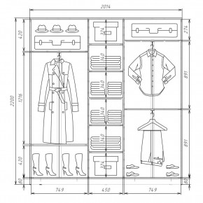 Шкаф-купе ХИТ 22-4-20-555 (420) в Приобье - priobie.mebel24.online | фото 2