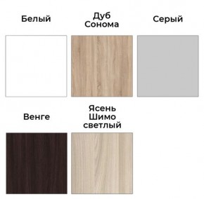 Шкаф-купе ХИТ 23-24/2-7777 (620) в Приобье - priobie.mebel24.online | фото 2