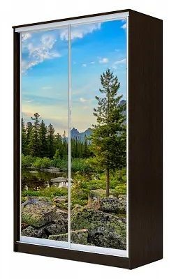 Шкаф-купе ХИТ 24-14-77 ПРИРОДА в Приобье - priobie.mebel24.online | фото