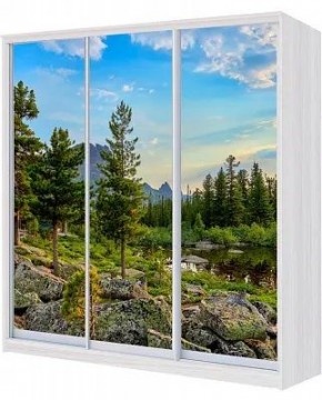 Шкаф-купе ХИТ 24-18/2-777 ПРИРОДА в Приобье - priobie.mebel24.online | фото