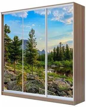 Шкаф-купе ХИТ 24-20/2-777 ПРИРОДА в Приобье - priobie.mebel24.online | фото
