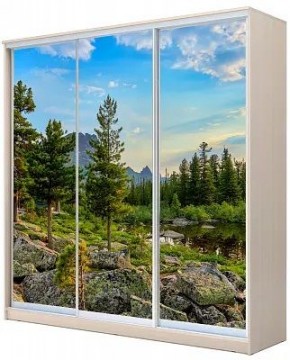 Шкаф-купе ХИТ 24-4-20-777 ПРИРОДА в Приобье - priobie.mebel24.online | фото