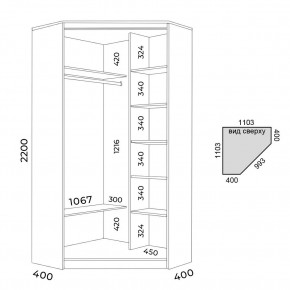 Шкаф-купе ХИТ-У-22-4-55 в Приобье - priobie.mebel24.online | фото 3