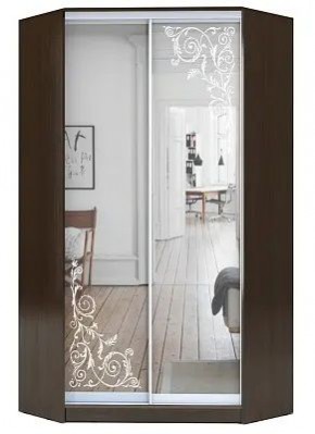 Шкаф-купе ХИТ-У-R-22-64-66 ОРНАМЕНТ в Приобье - priobie.mebel24.online | фото