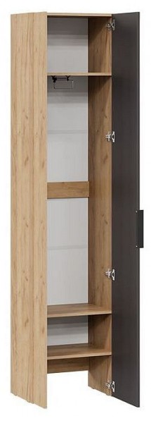 Шкаф платяной Асти в Приобье - priobie.mebel24.online | фото 2