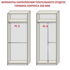 Шкаф распашной серия «ЗЕВС» (PL3/С1/PL2) в Приобье - priobie.mebel24.online | фото 10