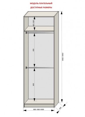 Шкаф распашной серия «ЗЕВС» (PL3/С1/PL2) в Приобье - priobie.mebel24.online | фото 12