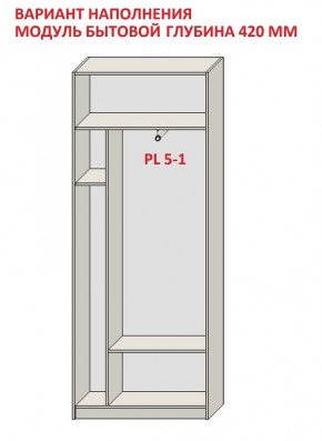 Шкаф распашной серия «ЗЕВС» (PL3/С1/PL2) в Приобье - priobie.mebel24.online | фото 4