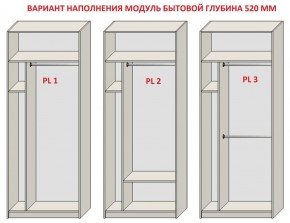 Шкаф распашной серия «ЗЕВС» (PL3/С1/PL2) в Приобье - priobie.mebel24.online | фото 5