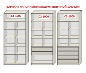 Шкаф распашной серия «ЗЕВС» (PL3/С1/PL2) в Приобье - priobie.mebel24.online | фото 7