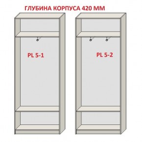 Шкаф распашной серия «ЗЕВС» (PL3/С1/PL2) в Приобье - priobie.mebel24.online | фото 8