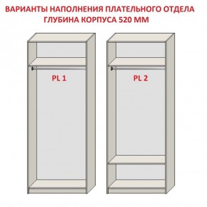 Шкаф распашной серия «ЗЕВС» (PL3/С1/PL2) в Приобье - priobie.mebel24.online | фото 9