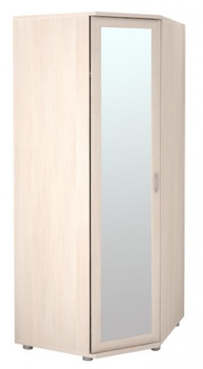Шкаф угловой для одежды Ника-Люкс 30 без зеркал в Приобье - priobie.mebel24.online | фото 1