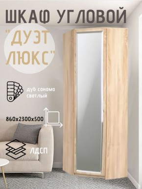 Шкаф угловой Дуэт Люкс с зеркалом в Приобье - priobie.mebel24.online | фото