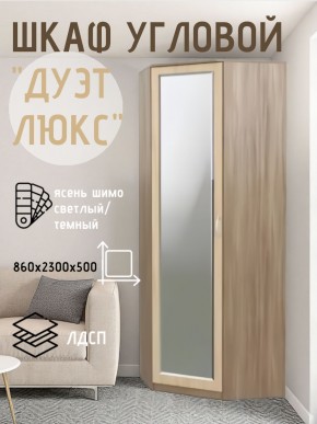 Шкаф угловой Дуэт Люкс с зеркалом в Приобье - priobie.mebel24.online | фото 3