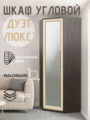 Шкаф угловой Дуэт Люкс с зеркалом в Приобье - priobie.mebel24.online | фото 5