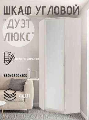 Шкаф угловой Дуэт Люкс с зеркалом в Приобье - priobie.mebel24.online | фото 6