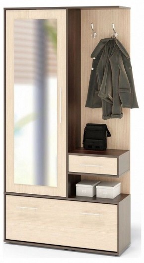 Стенка для прихожей ВШ-6 в Приобье - priobie.mebel24.online | фото