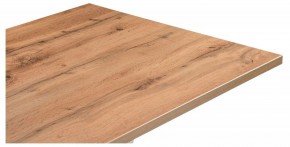 Стол обеденный Мичиган Лофт в Приобье - priobie.mebel24.online | фото 4