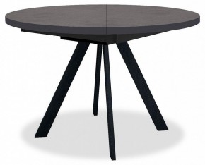 Стол обеденный RD100 в Приобье - priobie.mebel24.online | фото