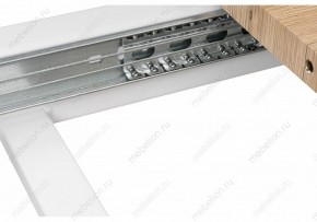 Стол обеденный Санса 120 в Приобье - priobie.mebel24.online | фото 10