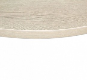 Стол обеденный SHT-TU43/TT в Приобье - priobie.mebel24.online | фото 3