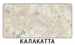 Стол обеденный Трилогия пластик Калакатта в Приобье - priobie.mebel24.online | фото 7