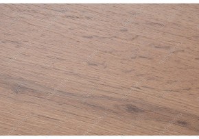 Стол письменный Битти Лофт 116 в Приобье - priobie.mebel24.online | фото 2