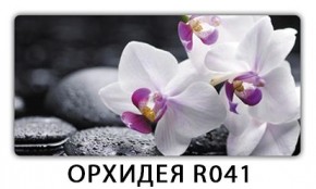 Стол раздвижной Бриз орхидея R041 Кофе R012 в Приобье - priobie.mebel24.online | фото 1
