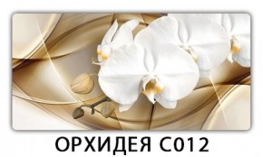 Стол раздвижной Трилогия с фотопечатью Доска D112 в Приобье - priobie.mebel24.online | фото 13