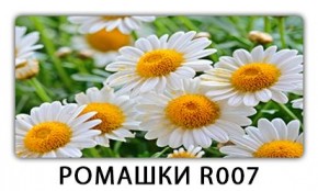 Стол раздвижной Трилогия с фотопечатью Доска D112 в Приобье - priobie.mebel24.online | фото 15