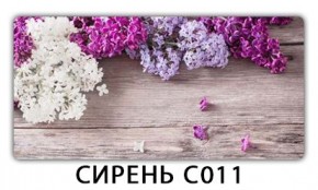 Стол раздвижной Трилогия с фотопечатью Доска D112 в Приобье - priobie.mebel24.online | фото 16