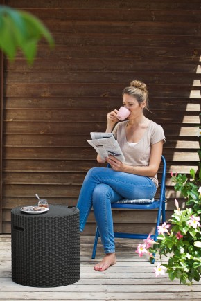 Столик-холодильник Кул-Стул (Cool stool) коричневый в Приобье - priobie.mebel24.online | фото 2