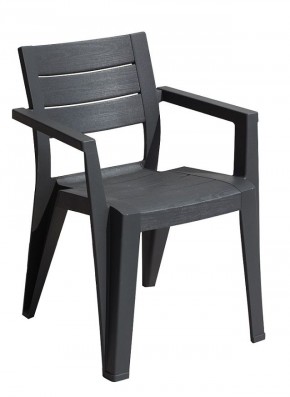 Стул Джули (Julie dining chair) графит в Приобье - priobie.mebel24.online | фото