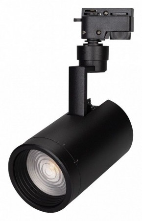 Светильник на штанге Arlight ZEUS 025947(1) в Приобье - priobie.mebel24.online | фото 2