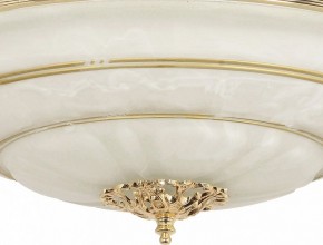 Светильник на штанге Arti Lampadari Pavia Pavia E 1.13.P40 G в Приобье - priobie.mebel24.online | фото 3