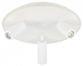 Светильник на штанге Escada 20046LED 20046SMA/03LED WH в Приобье - priobie.mebel24.online | фото