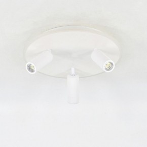 Светильник на штанге Escada 20046LED 20046SMA/03LED WH в Приобье - priobie.mebel24.online | фото 3