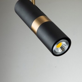 Светильник на штанге Favourite Light point 2997-1P в Приобье - priobie.mebel24.online | фото 4