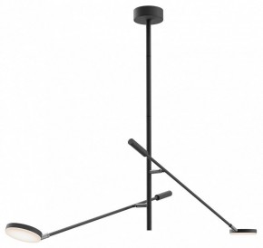 Светильник на штанге Maytoni Fad MOD070CL-L15B3K1 в Приобье - priobie.mebel24.online | фото
