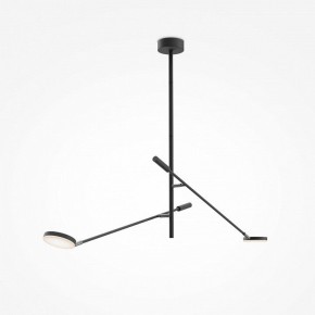 Светильник на штанге Maytoni Fad MOD070CL-L15B3K1 в Приобье - priobie.mebel24.online | фото 3