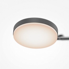 Светильник на штанге Maytoni Fad MOD070CL-L15B3K1 в Приобье - priobie.mebel24.online | фото 7