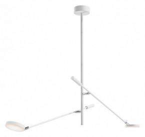 Светильник на штанге Maytoni Fad MOD070CL-L15W3K1 в Приобье - priobie.mebel24.online | фото