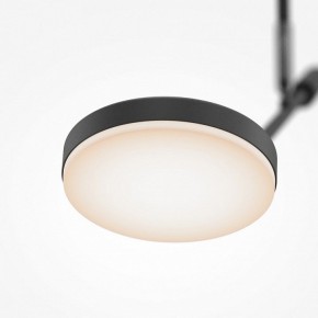 Светильник на штанге Maytoni Fad MOD070CL-L8B3K в Приобье - priobie.mebel24.online | фото 4