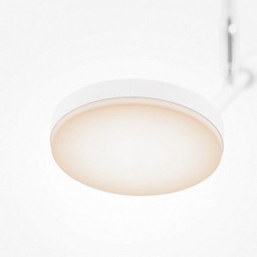 Светильник на штанге Maytoni Fad MOD070CL-L8W3K в Приобье - priobie.mebel24.online | фото 4