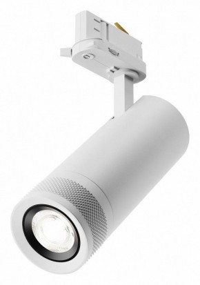 Светильник на штанге Maytoni Focus Zoom TR198-3-20W4K-Z-W в Приобье - priobie.mebel24.online | фото
